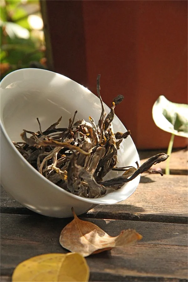 May Gardening Tasks for the West: 5 Critical Jobs I Learned to Do Now