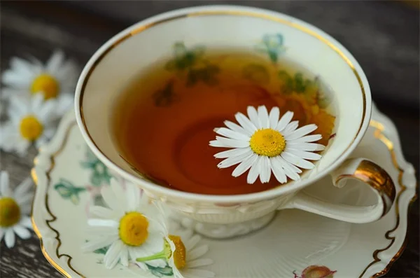 Easy Daisy Garden Design: How to Grow Happy Blooms