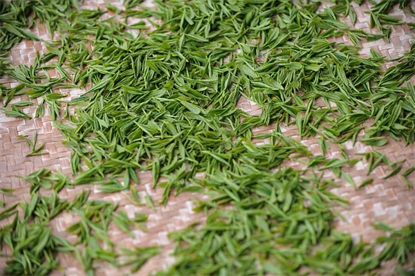 7 Must-Do Tasks for Your July Garden in the West