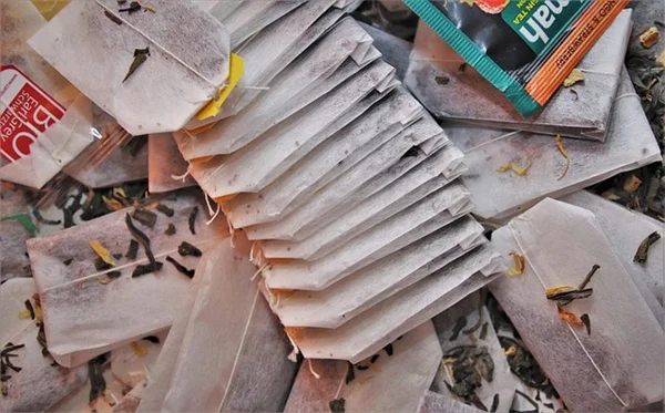 Why Plant Death Hits So Hard (And Why You're Not Alone)